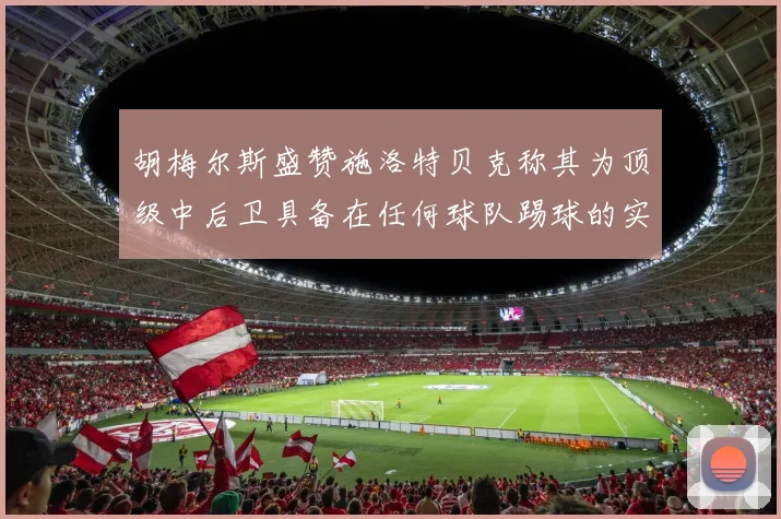 胡梅尔斯盛赞施洛特贝克称其为顶级中后卫具备在任何球队踢球的实力